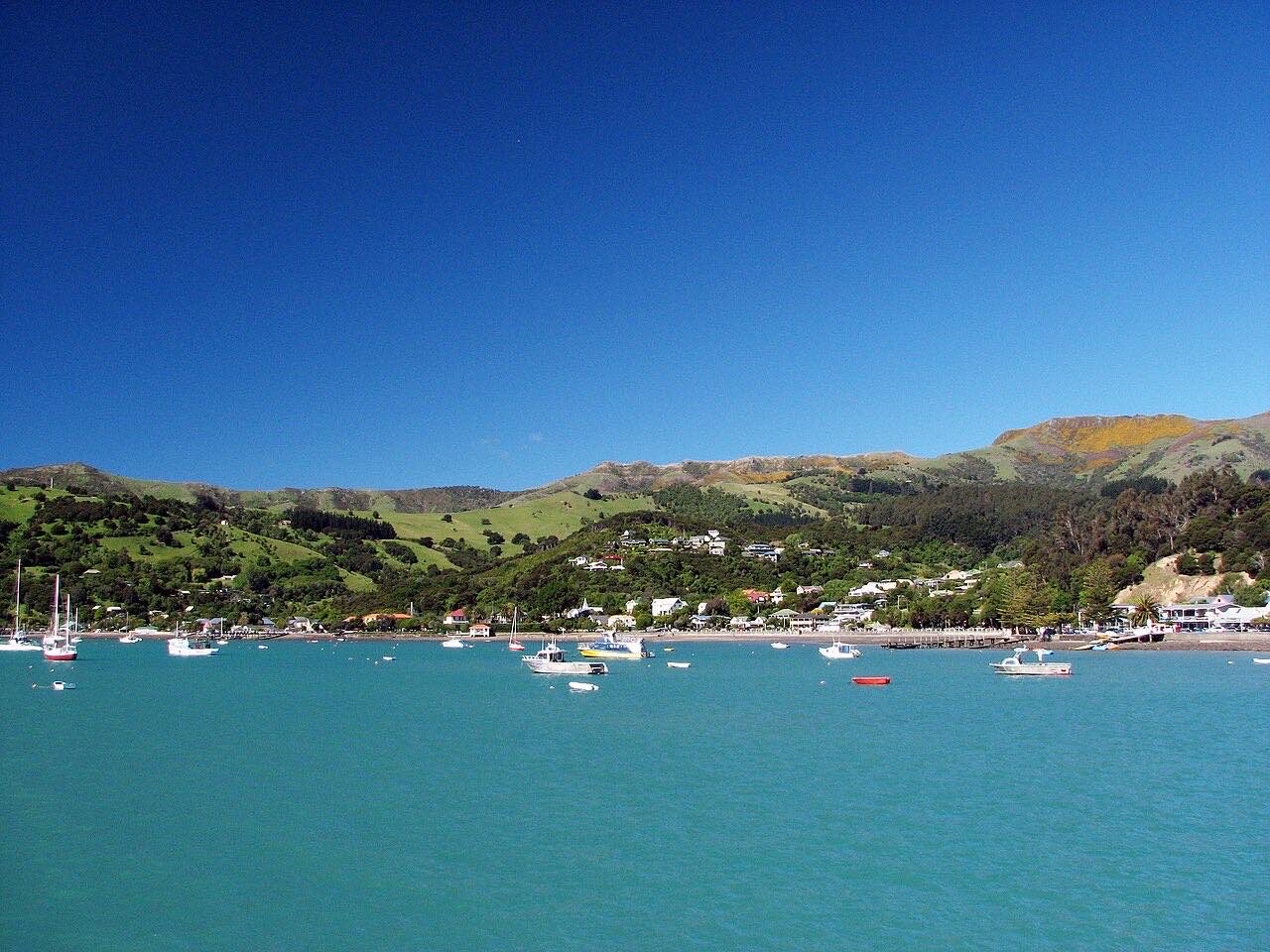 Akaroa बंदरगाह, न्यूज़ीलैंड