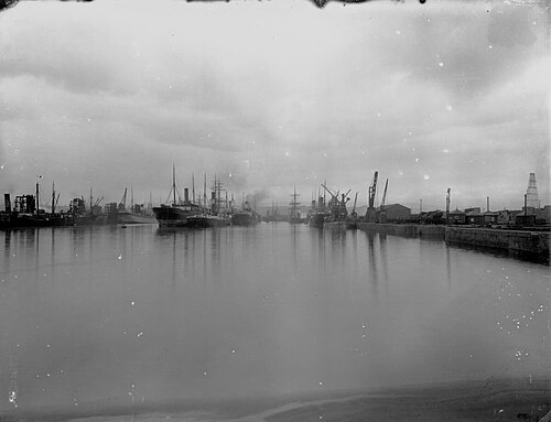 Bird Port