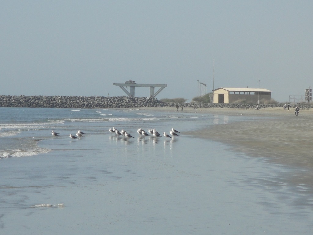 Port of Jask, Iran
