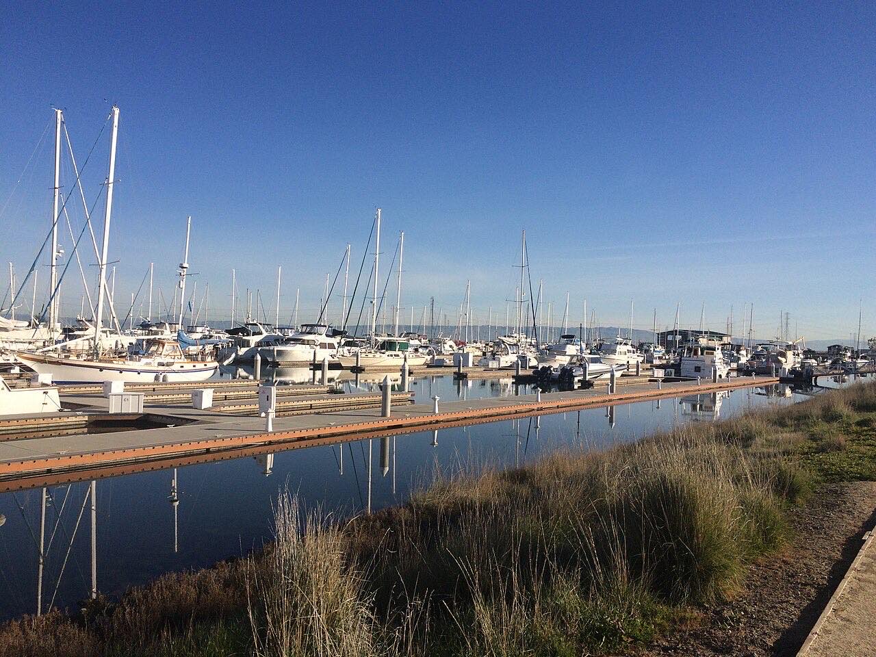 Pristanišče Redwood City, Združene države Amerike
