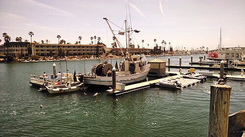 Ventura